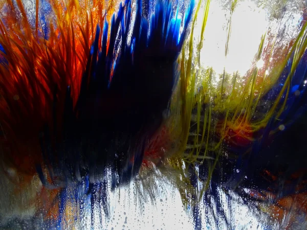 Oto Yıkama fırçası