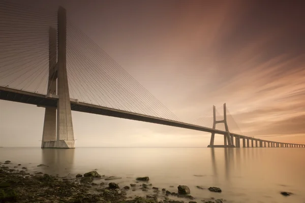 Vasco de gama brug — Stockfoto