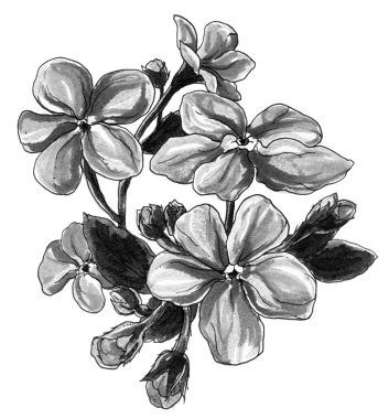 Dekoratif unut beni değil bahar çiçekleri