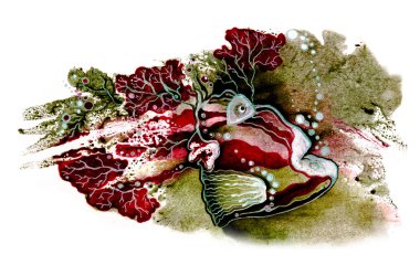 Kırmızı balık suyun altında