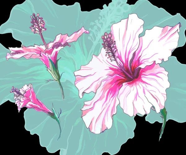 Belles fleurs d'hibiscus — Image vectorielle