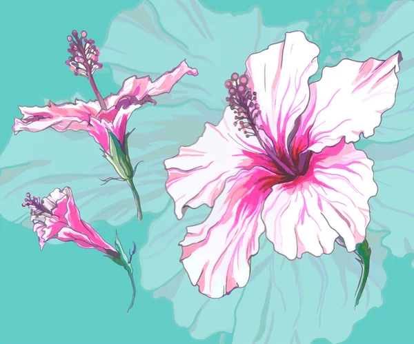 Hibiscus-kukka — vektorikuva