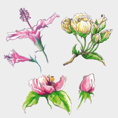 Bahar çiçek tomurcukları seti