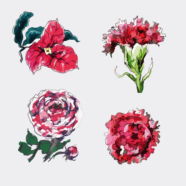 Set de flores rojas — Vector de stock