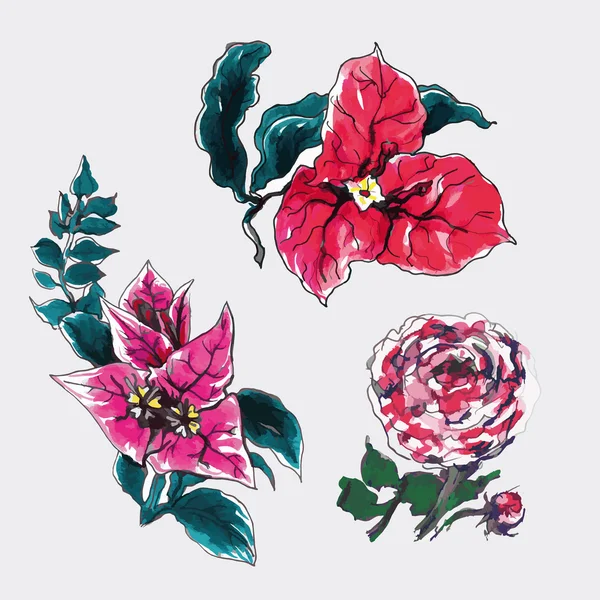 Set di fiori tropicali rossi — Vettoriale Stock