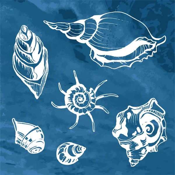 Mořské mušle dekorativní ikony — Stockový vektor