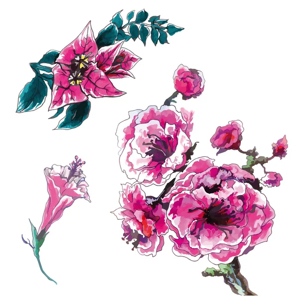 Tropische roze bloemen set — Stockvector