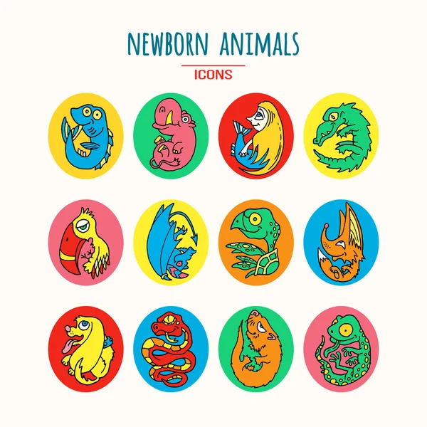Cartoon baby animals — Stock Vector