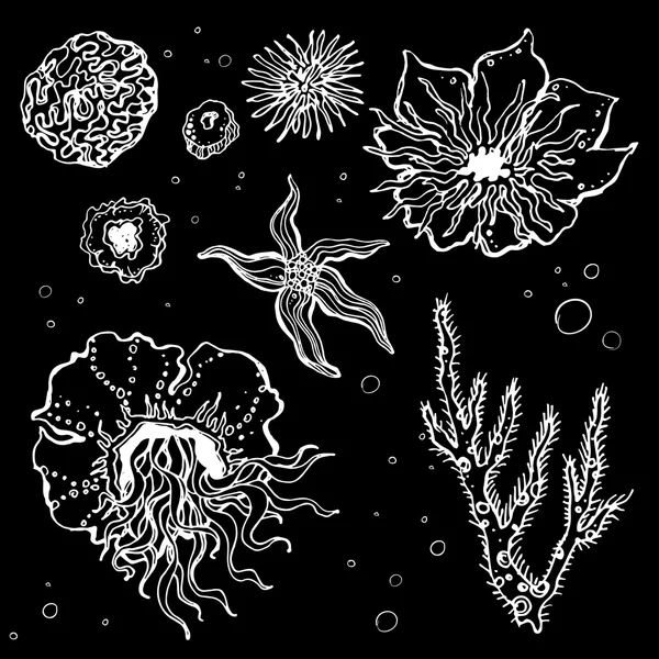 Underwater flowers and plants. — Stockvector