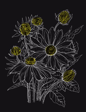 Papatya çiçekler buket.