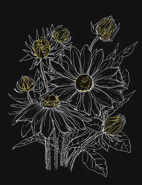 Papatya çiçekler buket.