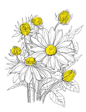 Papatya çiçekler buket