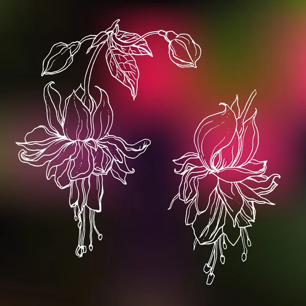 Flores tropicales fucsia — Vector de stock