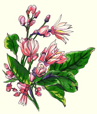 Tropikal limon çiçeği içinde narenciye