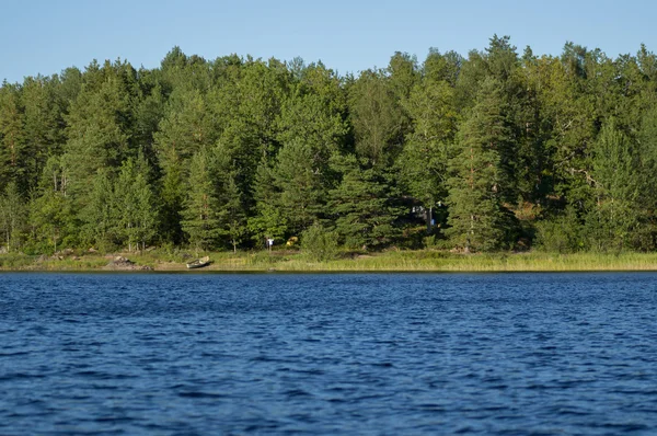 Bosque y lago — Foto de Stock