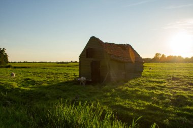 Gün batımında bir tarlada başıboş bir kulübe.
