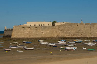 İspanya 'daki Cadiz Katedrali