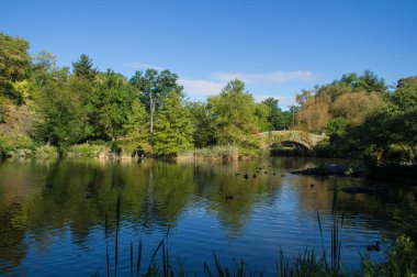 Central Park, New York 'taki Gapstow Köprüsü