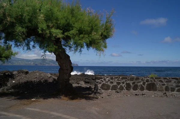 Vista sull'oceano — Foto Stock