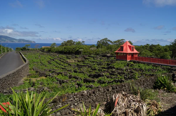 View post del museo del vino — Foto Stock