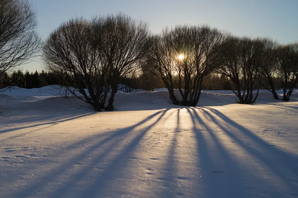 Tramonto — Foto Stock