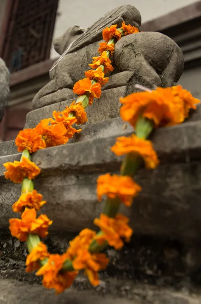 Marigold garland — стоковое фото