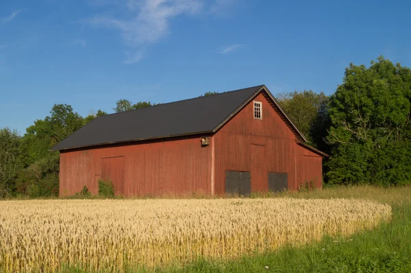 Ladugård — Stockfoto