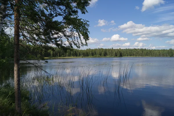 Sjö — Stockfoto