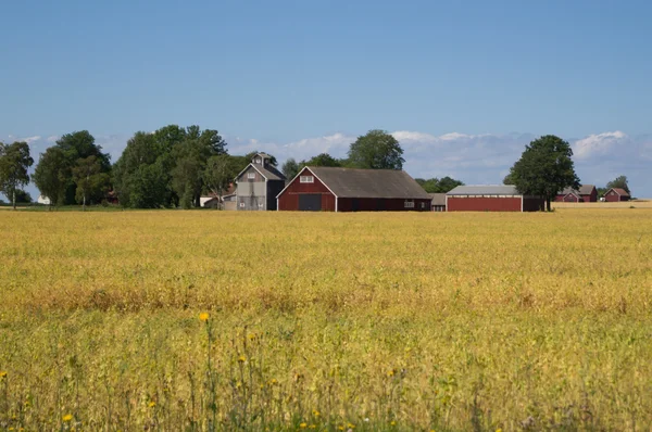 Falu red Swedish barn — Stockfoto