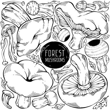 Güzel el yapımı orman seti. Değişik yaban mantarları ve sonbahar yapraklarından oluşan siyah ve beyaz vektör koleksiyonu. Menü tasarımı, etiket, simge, tarif, paketleme ve web için kullanılabilir. Yaratıcı mevsimsel tasarım
