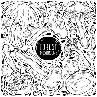 Güzel el yapımı orman seti. Değişik mantar ve yabani otların siyah ve beyaz vektör koleksiyonu. Menü tasarımı, etiket, simge, tarif, paketleme ve web için kullanılabilir. Yaratıcı mevsimsel tasarım