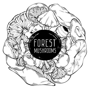 Siyah ve beyaz el yapımı vahşi orman mantar koleksiyonu. Dairesel şirin çerçeve. Menü tasarımı, tarif, etiket, simge, tarif, paketleme ve web için kullanılabilir. Çizgi film tarzı. Botanik çizimi