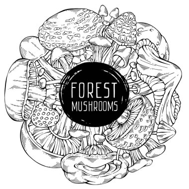 Siyah ve beyaz el yapımı vahşi orman mantar koleksiyonu. Dairesel şirin çerçeve. Menü tasarımı, tarif, etiket, simge, tarif, paketleme ve web için kullanılabilir. Çizgi film tarzı. Botanik çizimi