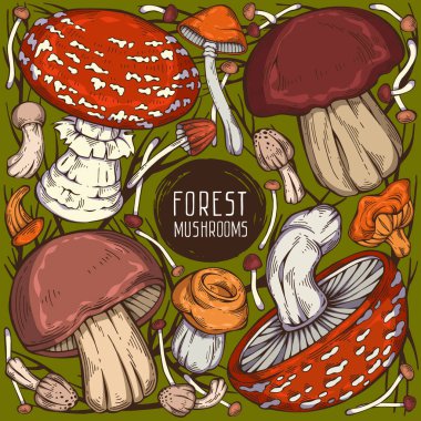 Güzel el yapımı orman seti. Değişik yabani mantar ve kuru dallardan oluşan renkli bir vektör koleksiyonu. Menü tasarımı, etiket, simge, tarif, paketleme ve web için kullanılabilir. Yaratıcı mevsimsel tasarım