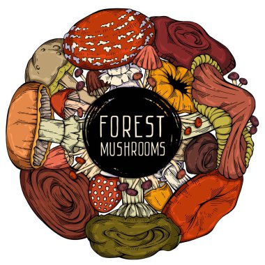 Renkli el yapımı vahşi orman mantar koleksiyonu. Dairesel şirin çerçeve. Menü tasarımı, tarif, etiket, simge, tarif, paketleme ve web için kullanılabilir. Çizgi film tarzı. Botanik çizimi