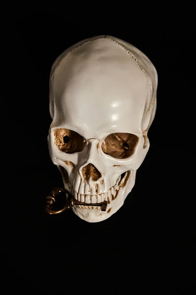 Human skull model with key on a black background. Low-key photo.