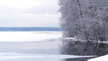 Bir orman gölünün kış manzarası. Kar kaplı ağaçlar ve buz nehri olan güzel bir kış manzarası. Güzel, soğuk kış..