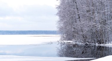 Bir orman gölünün kış manzarası. Kar kaplı ağaçlar ve buz nehri olan güzel bir kış manzarası. Güzel, soğuk kış..