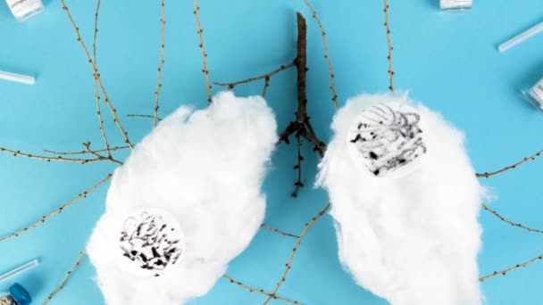 Conceptual stop motion animation Covid-19 vaccine and cotton shaped like lungs. — Stock Video