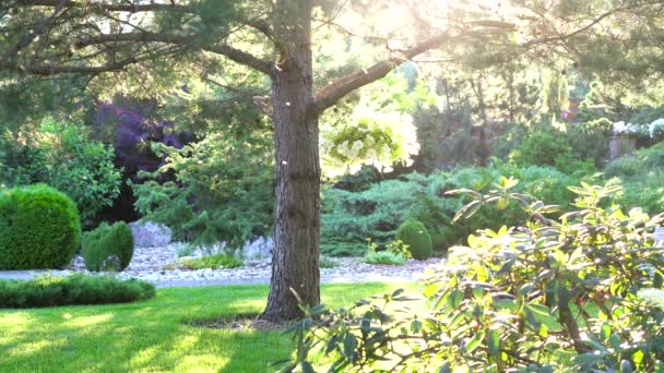 Polillas, mosquitos vuelan en el jardín al atardecer. Puede utilizar repelente para la protección. — Vídeos de Stock