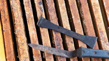 Apiary kovan aletleri. Bal peteğini, bal hücrelerini ve arı kovanını açmak için bıçak ve kazıyıcı. Seçici odak.