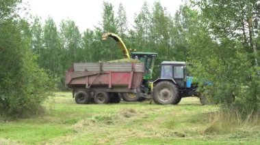 Hasat makinesi saman yığınları için çimleri biçer. Tarım makineleri gezisi.