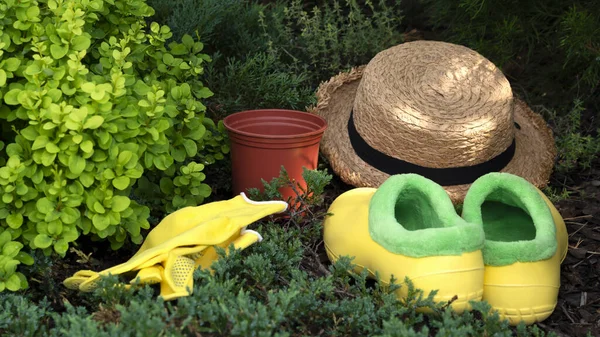 Equipo de jardinería. Maceta de flores, guantes de mano amarillos, sombrero de paja y botas de goma amarillas zapatos para el jardín. Fondo de explotación. — Foto de Stock