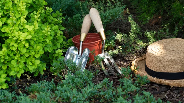 Sprzęt ogrodniczy. Doniczka, kielnia lub łopata, słomiany kapelusz i rośliny w ogrodzie. Kontekst gospodarstwa. — Zdjęcie stockowe