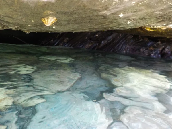 sualtı manzara