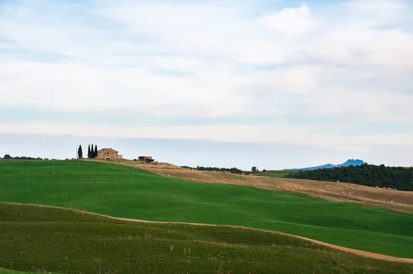 Manzara panorama, tepeler ve çayır