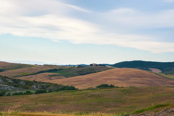 Manzara panorama, tepeler ve çayır