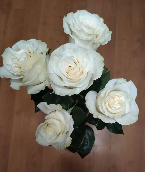 Білі Троянди Коричневому Дерев Яному Фоні — стокове фото