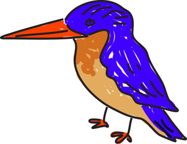 Kingfisher illüstrasyon