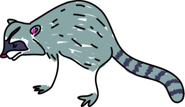 Racoon illüstrasyon